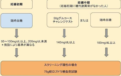 <妊娠糖尿病の検査の流れ>