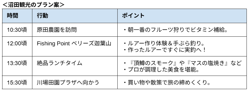 ＜沼田観光のプラン案＞