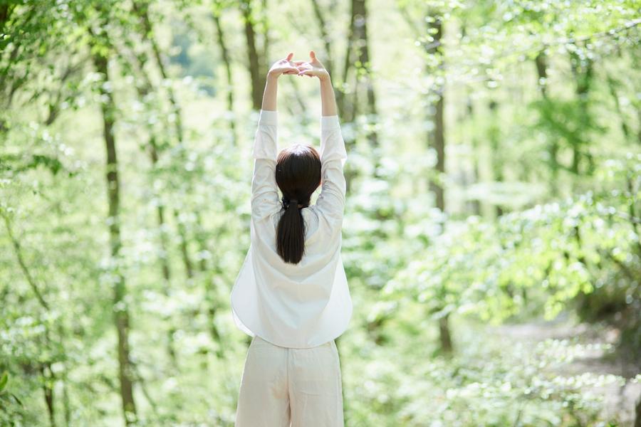 天然のメンタルケア