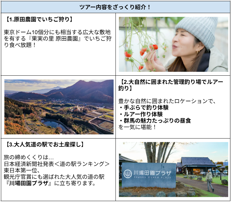 ツアー内容をざっくり紹介！