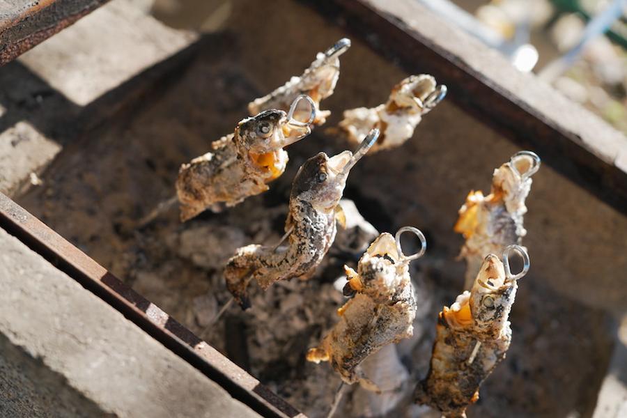 釣った魚をその場で食べる！キャッチアンドイートの醍醐味とは？初心者も簡単な捌き方や失敗しない楽しみ方