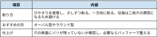 爪の形を整える際のポイント