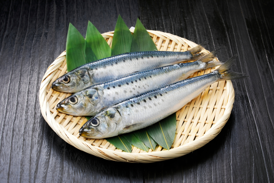 オメガ3が多い食べ物はこれ！管理栄養士が教える1日の目安量とオメガ6との黄金比＆簡単レシピで健康に