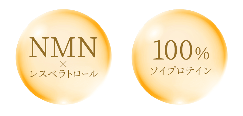 NMN×レスベラトロール　100％ソイプロテイン