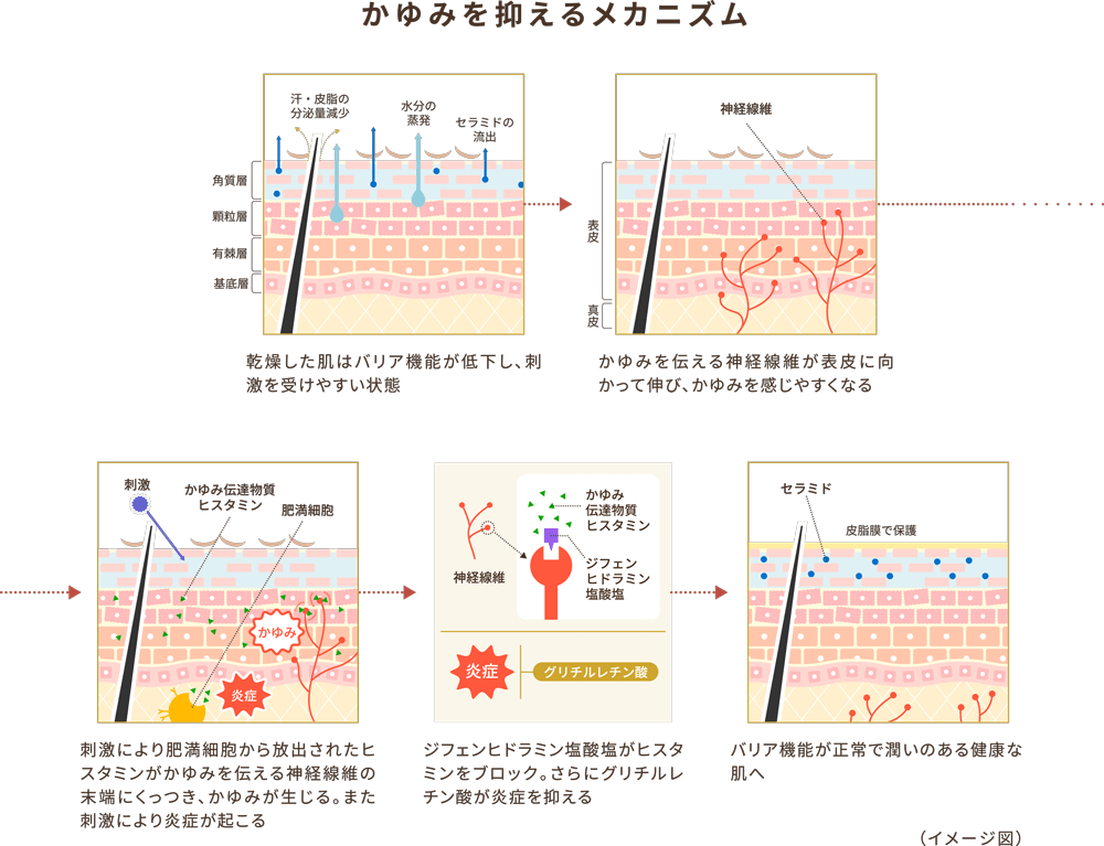 尿素が水分を集め、かゆみをくり返さない肌へ