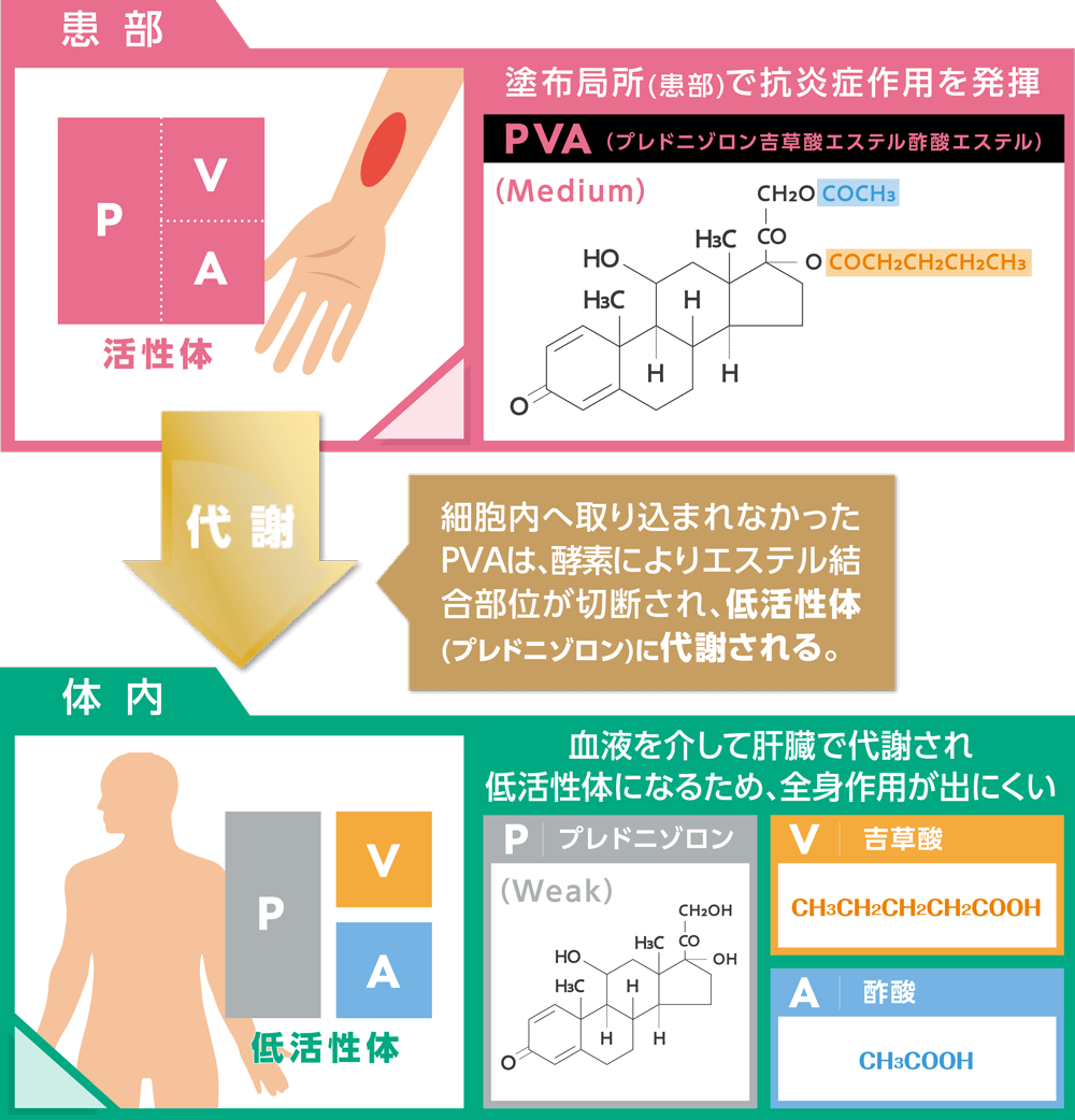 アンテドラッグステロイド