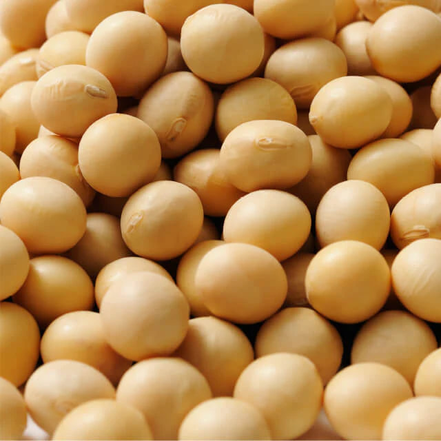 水添レシチン※9