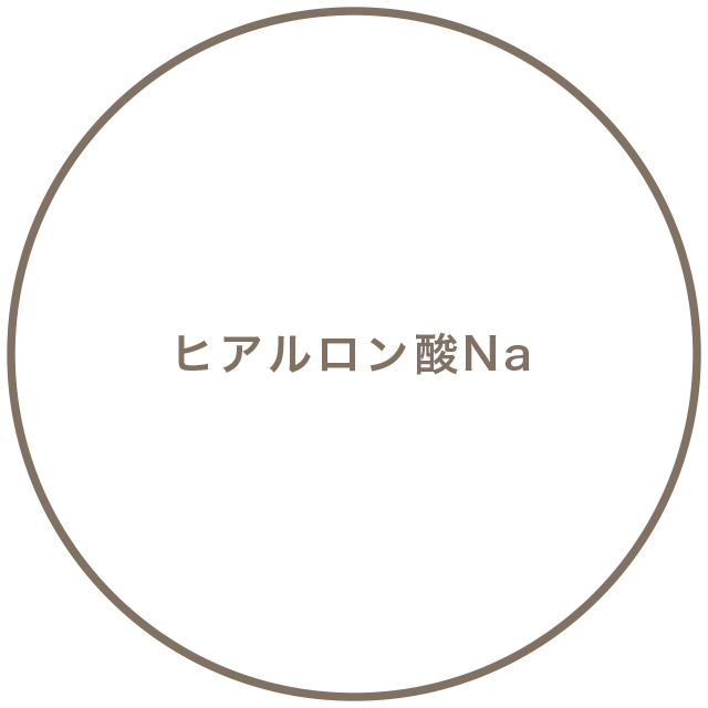 ヒアルロン酸Na※9