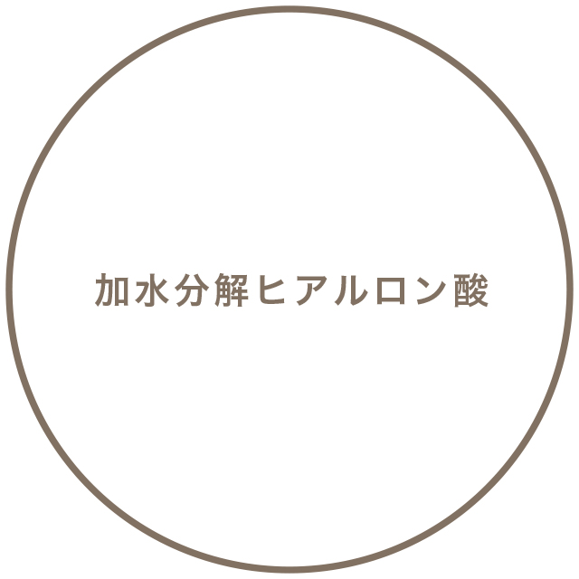 水添レシチン※9