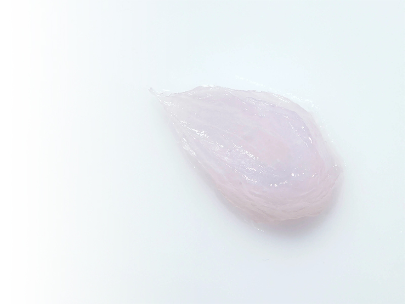 肌になじみやすい、水分たっぷりのみずみずしい植物由来ゲル