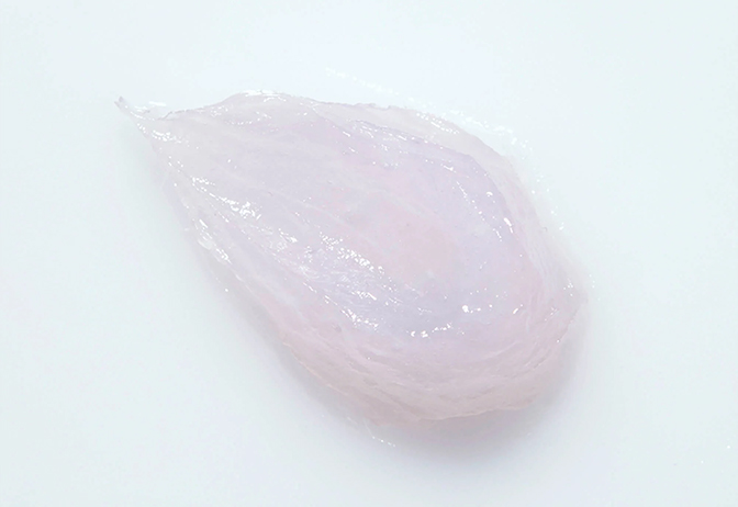 肌になじみやすい、水分たっぷりのみずみずしい植物由来ゲル