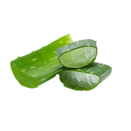 アロエベラ葉エキス