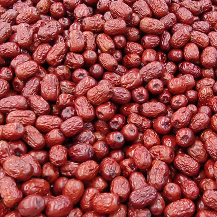 （バチルス／ベニコウジ菌）／ （ナツメ果実／ダイズ）発酵※4