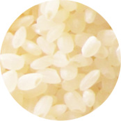 エイジングケア成分 米セラミド