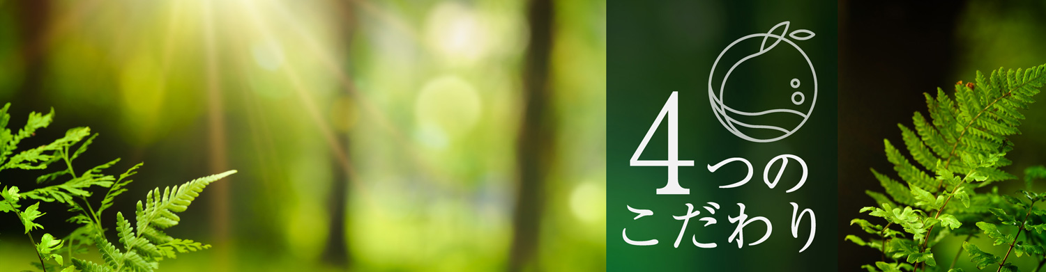 4つのこだわり