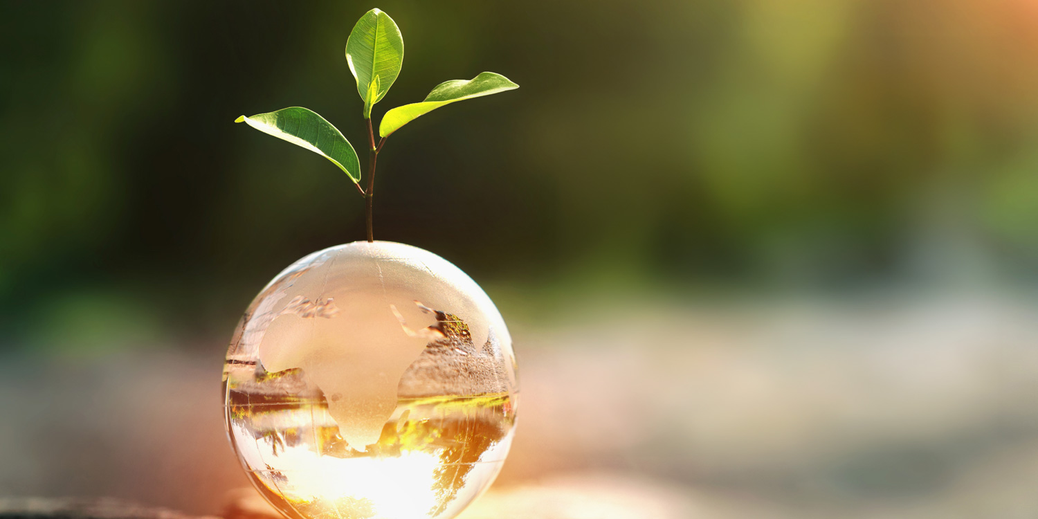 環境配慮にこだわる