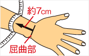 手首周囲の測り方