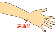 手首の屈曲部の周囲の測り方