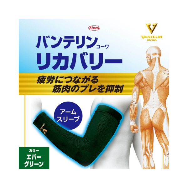 エバーグリーン