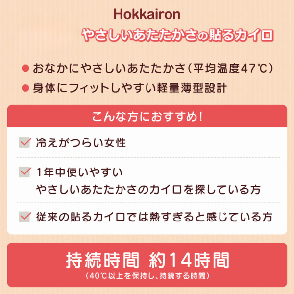 ホッカイロ　Hokkairon（ホッカイロン）　貼るレギュラー　10個入 10個入