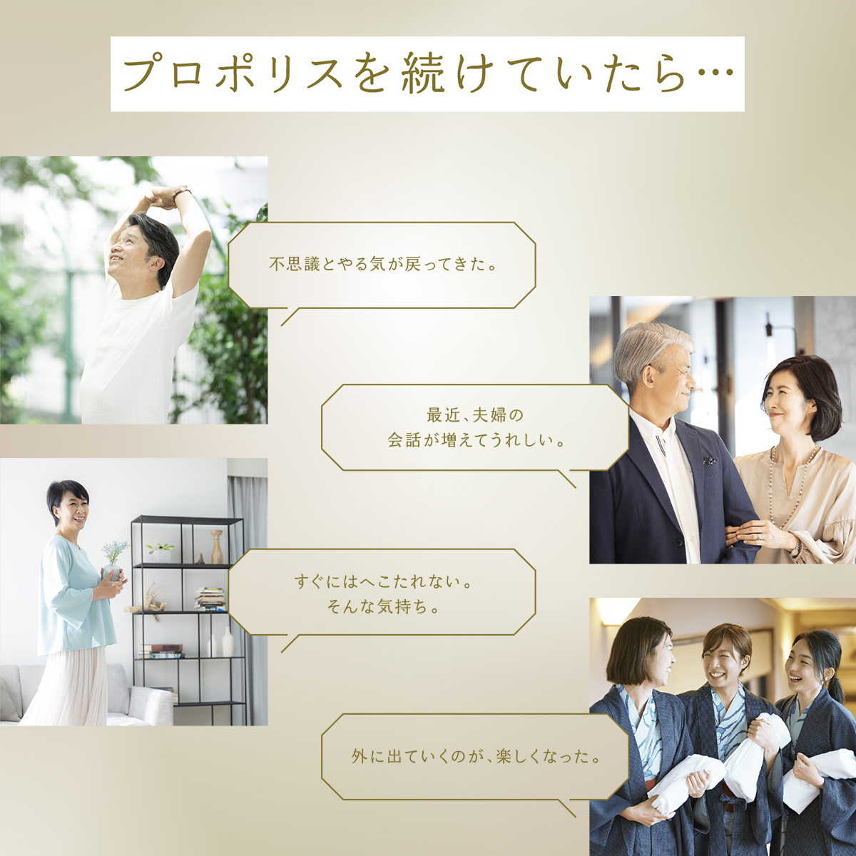 プレミアムクラス プロポリス 100粒※定期 100粒