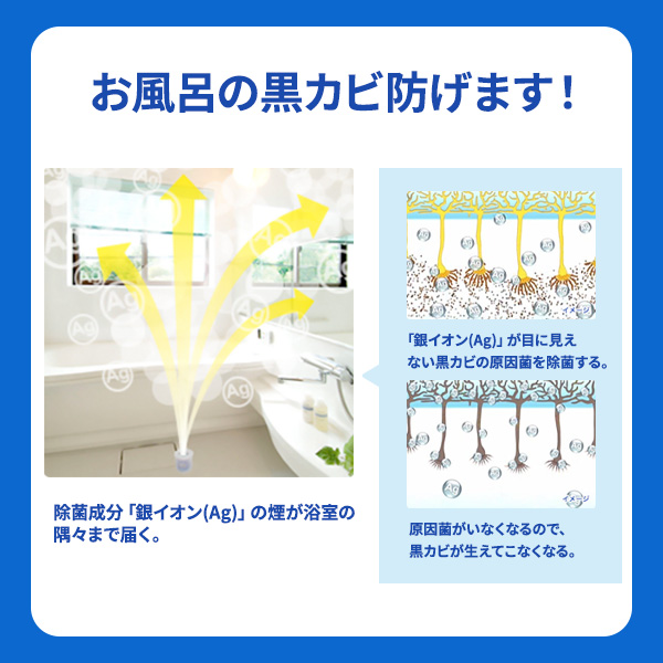 ライオン ルックおふろの防カビくん煙剤 1個