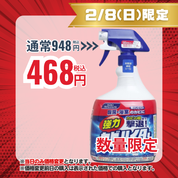 花王 強力カビハイター ハンディスプレー 1000mL[風呂用洗剤] 1000mL