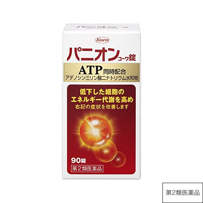 パニオンコーワ錠　90錠【第2類医薬品】
