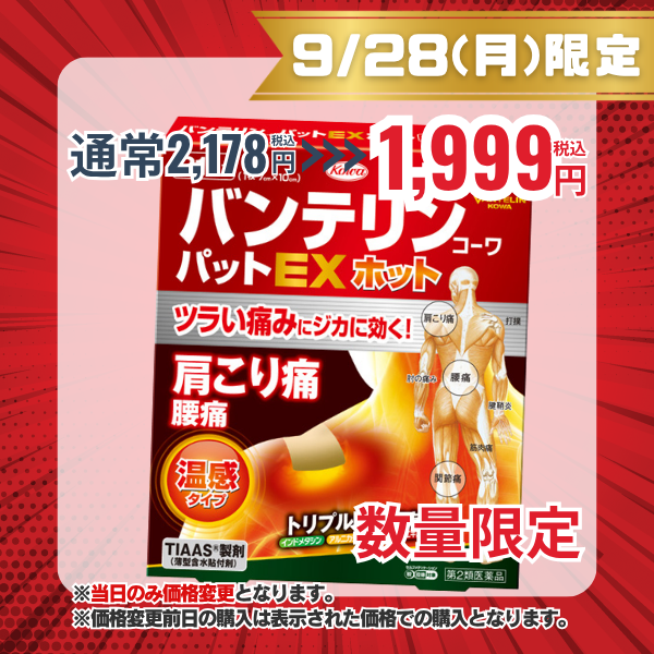 バンテリンコーワパットEXホット 21枚 【第2類医薬品】