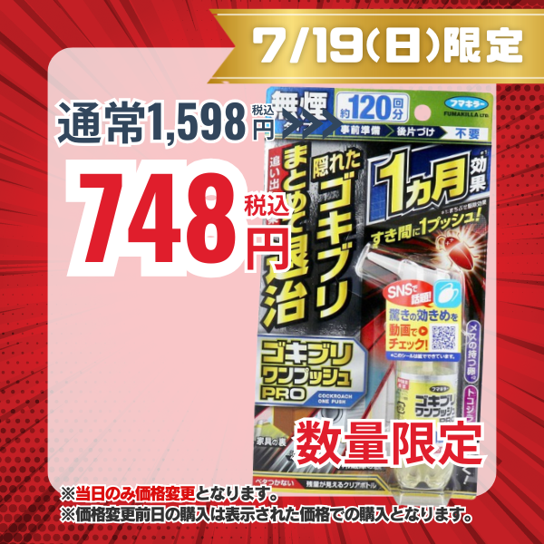フマキラー ゴキブリワンプッシュプロ 120回【防除用医薬部外品】