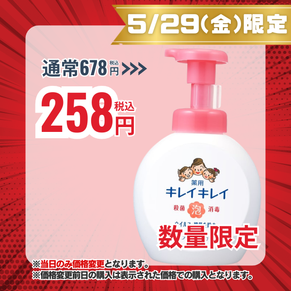 ライオン LION キレイキレイ 薬用泡ハンドソープ フルーツミックスの香り 本体 大型サイズ 500mL 【医薬部外品】