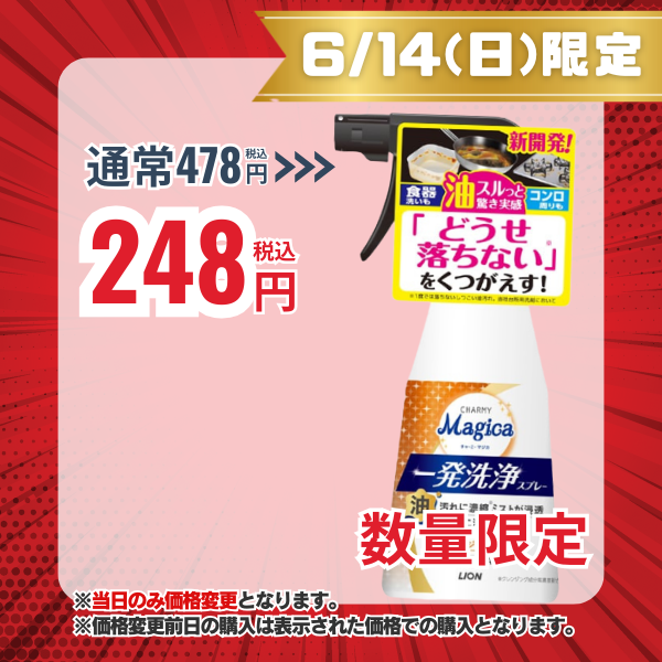 ライオン LION チャーミーマジカ CHARMY Magica 一発洗浄スプレー オレンジの香り 本体 300mL [台所用洗剤]