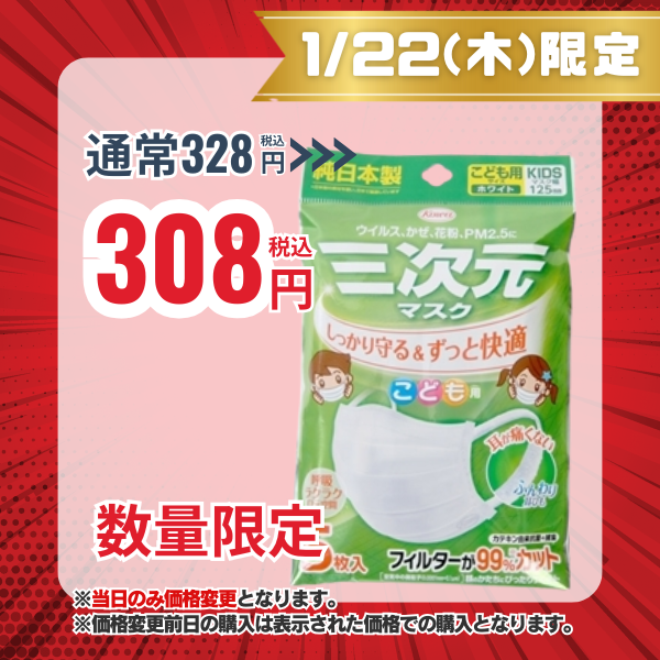 三次元マスク こども用サイズ ホワイト 5枚入