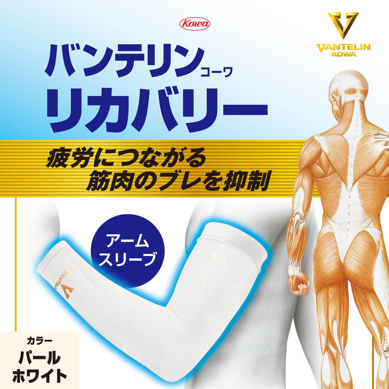バンテリンコーワリカバリー　アームスリーブ　パールホワイト　左右共通２枚入り