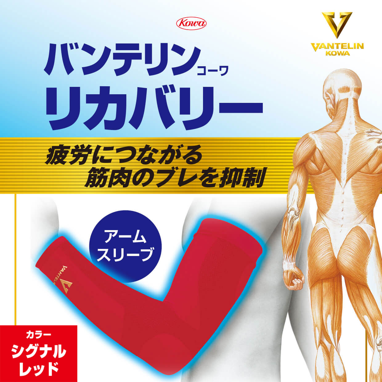 バンテリンコーワリカバリー　アームスリーブ　シグナルレッド　左右共通２枚入り