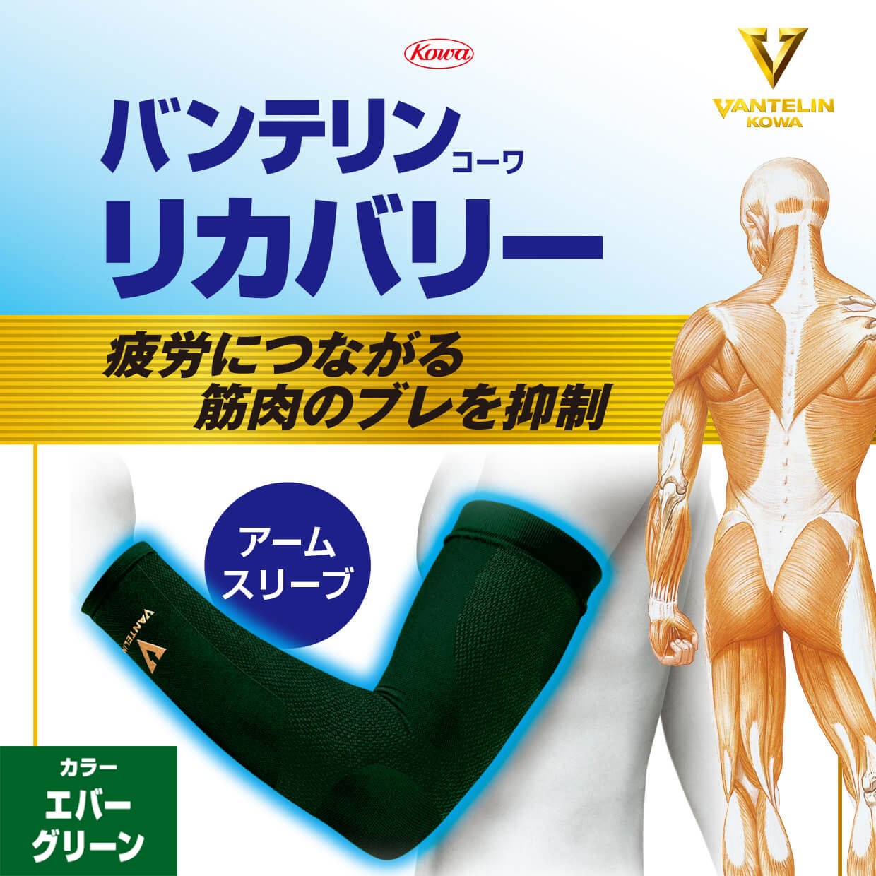 バンテリンコーワリカバリー　アームスリーブ　エバーグリーン　左右共通２枚入り