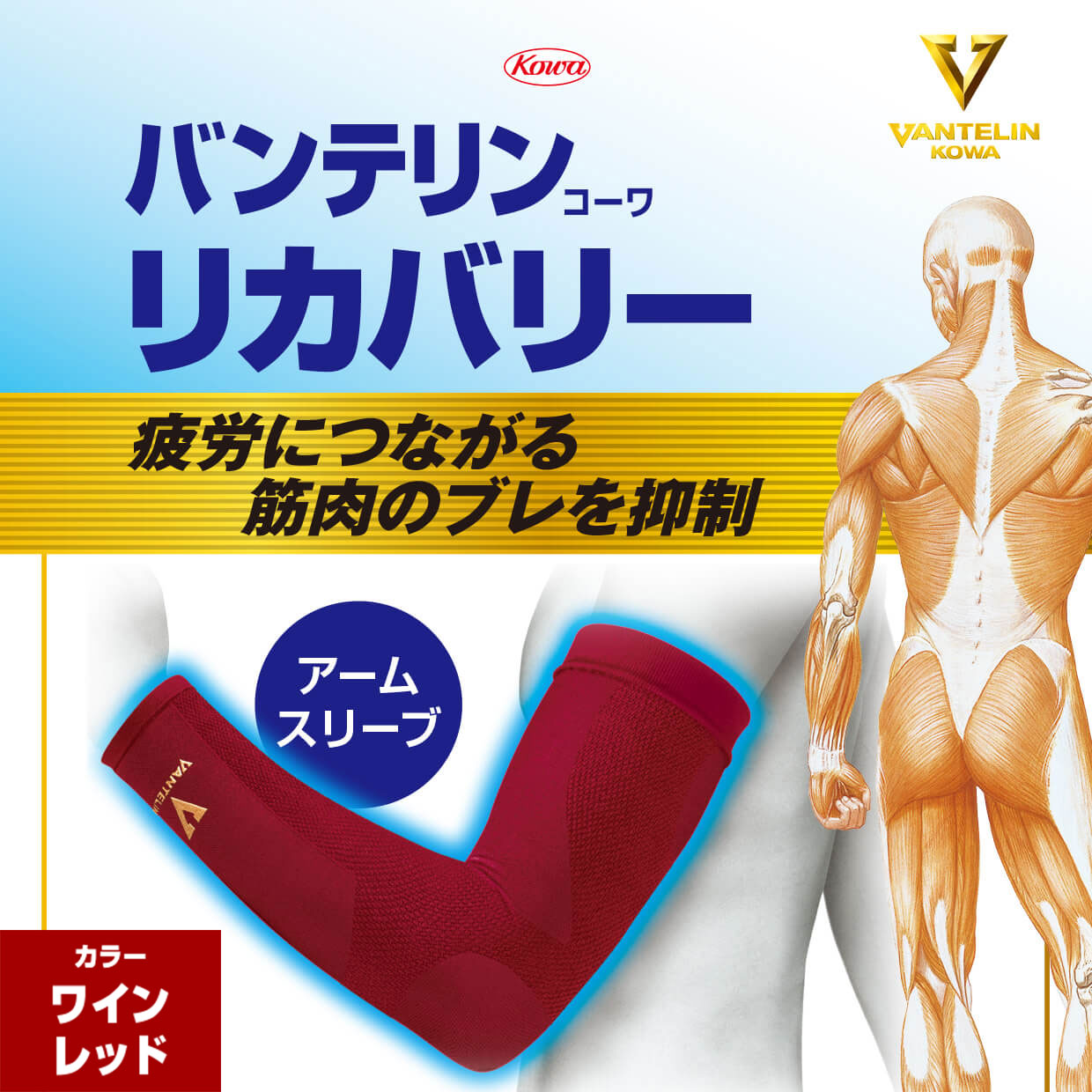 バンテリンコーワリカバリー　アームスリーブ　ワインレッド　左右共通２枚入り