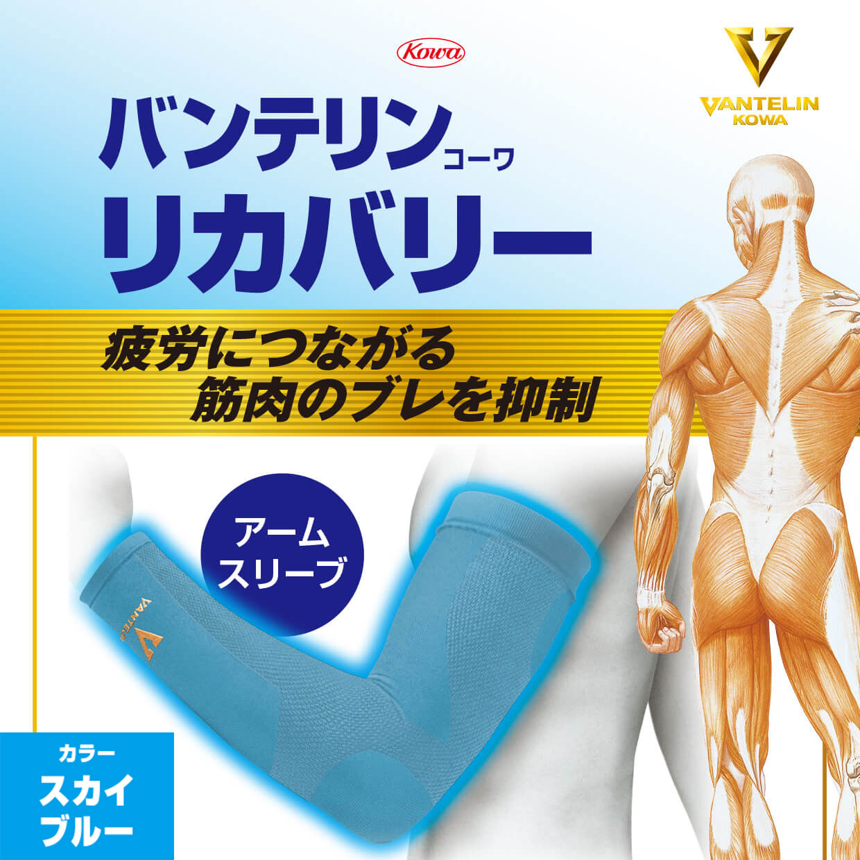 バンテリンコーワリカバリー　アームスリーブ　スカイブルー　左右共通２枚入り