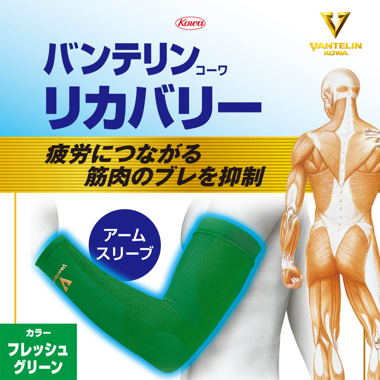 バンテリンコーワリカバリー　アームスリーブ　フレッシュグリーン　左右共通２枚入り
