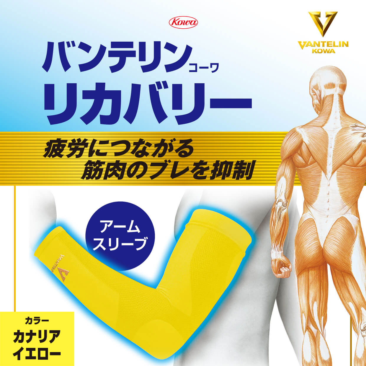 バンテリンコーワリカバリー　アームスリーブ　カナリアイエロー　左右共通２枚入り