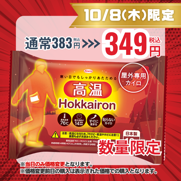 ホッカイロ Hokkairon(ホッカイロン) 高温 貼らない レギュラー 屋外専用カイロ 10個