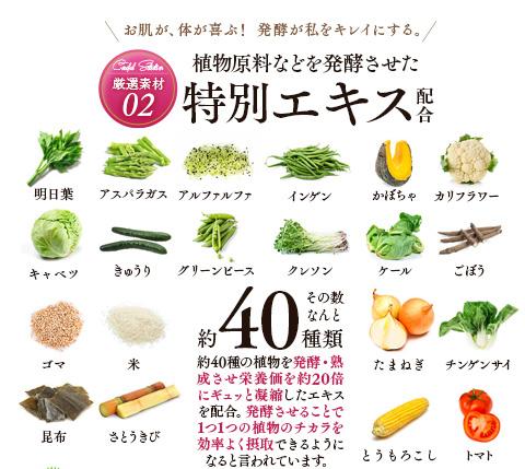 厳選素材02-植物原料などを発酵させた特別エキス配合　約40種類