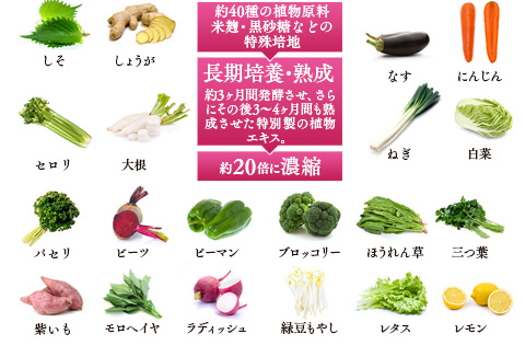 厳選素材02-植物原料などを発酵させた特別エキス配合　約40種類