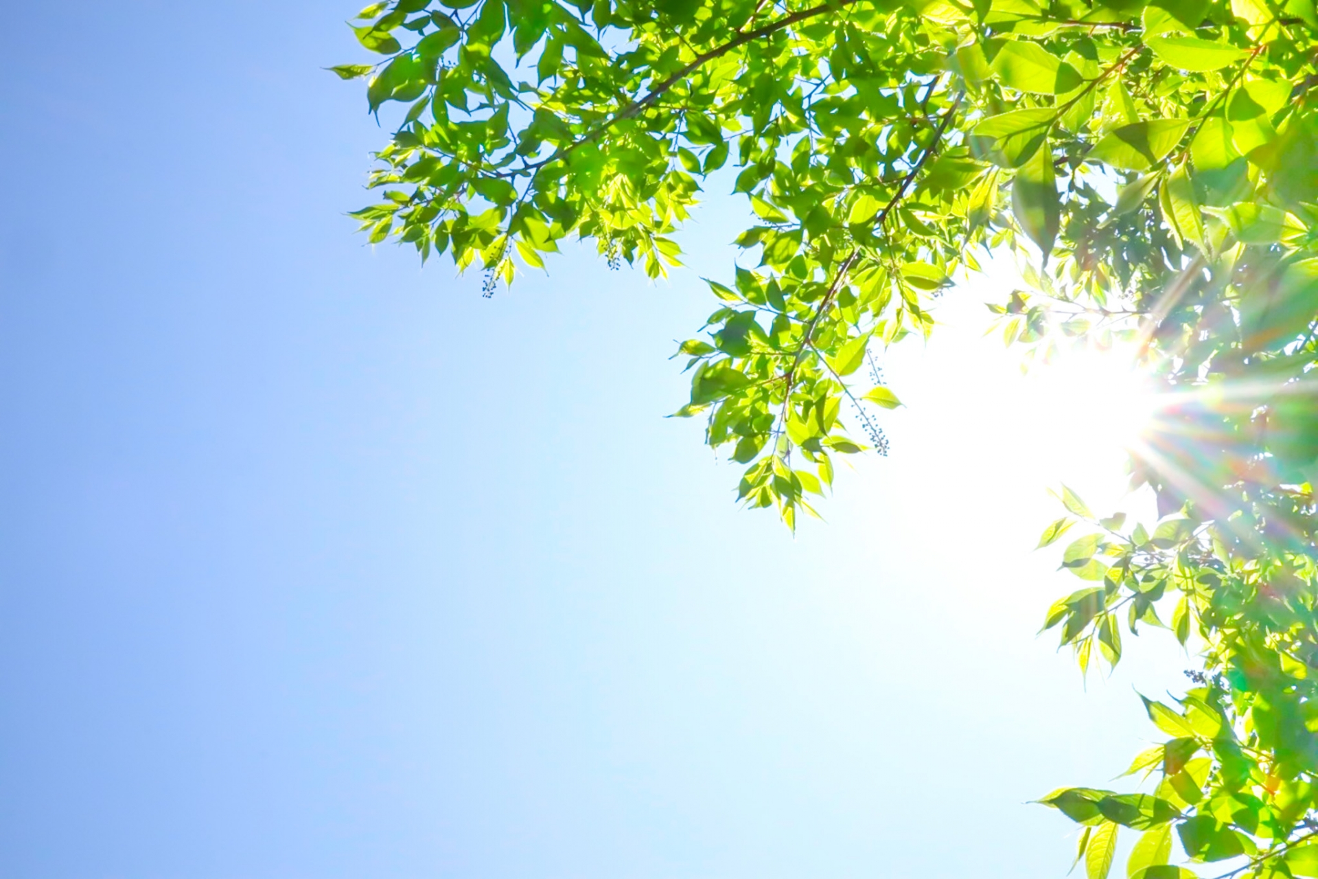 紫外線と皮膚のお話