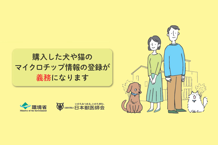 犬や猫のマイクロチップ情報の登録をしましょう