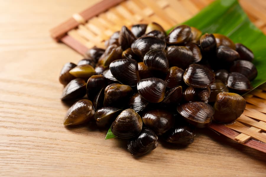 しじみの身は捨てないで！正しい砂抜き方法とは！？冷凍保存がおすすめな理由と味噌汁以外のレシピも紹介