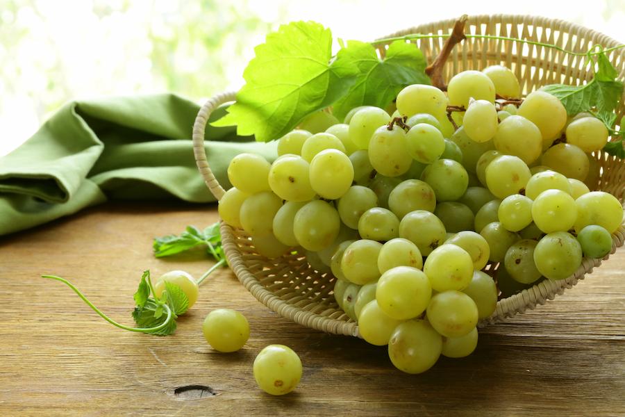 グレープシードオイルとは？グレープシードオイルの産地や使い方、どこに売っているかも解説