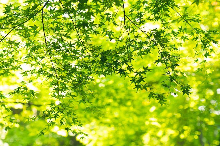 【医師監修】季節の変わり目は自律神経の乱れに注意！正しい対策とセルフケアで体調を整え、健やかに過ごそう