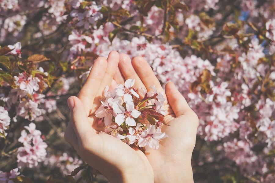 【医師監修】春や秋の季節の変わり目に眠気を感じやすいのはなぜ?自律神経の調整を意識して眠気に対処する