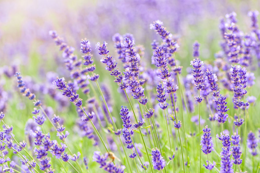 「生理用品とは何か」歴史をたどりながら解説。フェムテック・フェムケアの広がりが生理にあたえる影響とは？